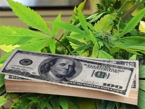 marijuana-money-profits-earnings-medical-marijuana-project