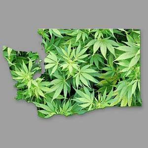 washington-state-marijuana