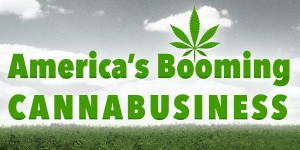 marijuana merchant account