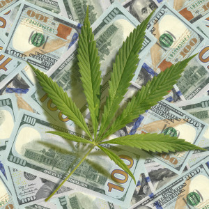 Cannabis leaf scattered on the dollars. Seamless image