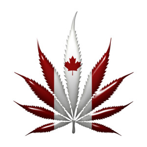 Marijuana Leaf with the colors of Canadian flag isolated on white