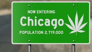 Highway sign with marijuana leaf "Now Entering Chicago (Illinois)"